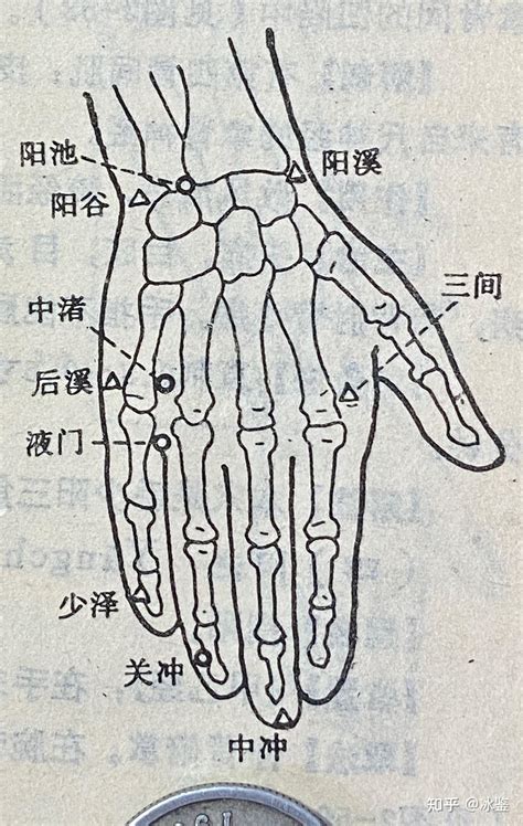 鞭穴|21